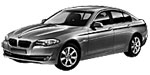 BMW F10 P02CB Fault Code